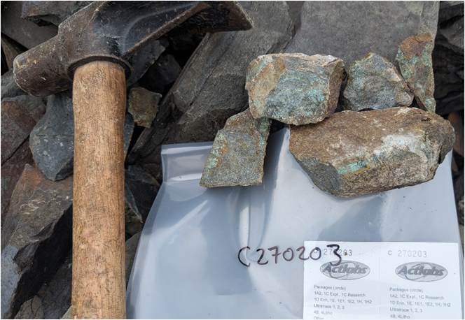Figure 3: Disseminated chalcopyrite-bornite at the Expert Showing, yielding up to 5.42% Cu and 1.89 g/t Au. Chalcopyrite is the yellow metallic mineral, with bornite (purple-blue), with surficial recent weathering to green malachite.