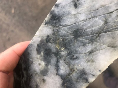 Figure 1a: Photograph of visible gold mineralization in drill hole EH003 at 163.2 – 163.48 meters. (CNW Group/Leviathan Gold Ltd)