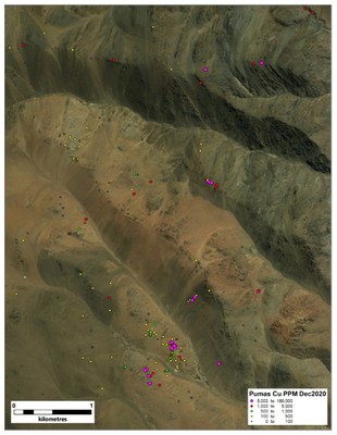 Figure 5. Cu values at Los Pumas (CNW Group/Sable Resources Ltd.)