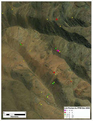 Figure 3. Au values at Los Pumas (CNW Group/Sable Resources Ltd.)
