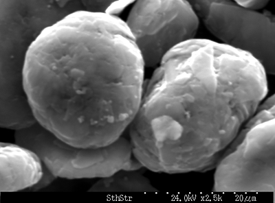 Figure 4: Scanning Electron Micrographs of Coated SPG (CNW Group/South Star Mining Corp.)
