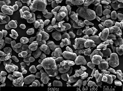 Figure 4: Scanning Electron Micrographs of Coated SPG (CNW Group/South Star Mining Corp.)