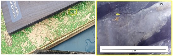 Cannot view this image? Visit: https://images.newsfilecorp.com/files/4727/228773_palamina_figure1_550.jpg