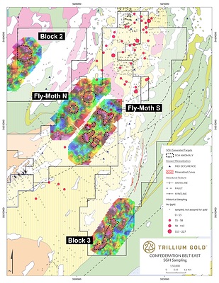 Figure 2: Detailed view showing Block 2, Block 3 and Fly-Moth SGH anomalies. The spatial geometry of the anomalies, historical gold data, lithological, and structural features might suggest a relationship. Geology from the Geological Survey of Canada Open File 4256. (CNW Group/Trillium Gold Mines Inc.)