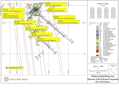 Figure 3:  Vertical Cross Section looking southeast showing mineralized sections of holes RV21-28 and RV21-29. (CNW Group/Trillium Gold Mines Inc.)
