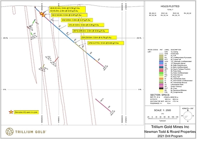Figure 4:  Vertical Cross Section looking southeast showing mineralized sections of hole RV21-30 (CNW Group/Trillium Gold Mines Inc.)
