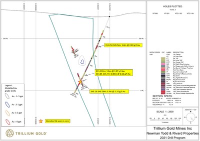 Figure 5:  Section for hole NT21-183 showing significant mineralized intersections. (CNW Group/Trillium Gold Mines Inc.)
