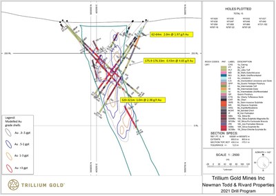 Figure 4:  Section for hole NT21-182 showing significant mineralized intersections. (CNW Group/Trillium Gold Mines Inc.)