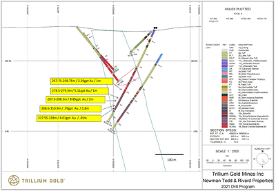 Figure 1: Section for hole NT20-176 showing significant mineralized intersections. (CNW Group/Trillium Gold Mines Inc.)
