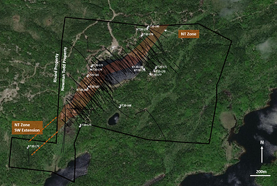 Figure 5: Drillhole location plan showing all holes drilled on the Newman Todd property. All 2020 drillholes are labelled. (CNW Group/Trillium Gold Mines Inc.)