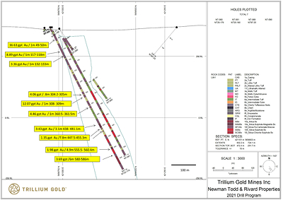 Figure 3: Section for hole NT20-179 showing significant mineralized sections. (CNW Group/Trillium Gold Mines Inc.)