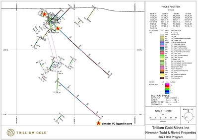Figure 7:  Section showing drillhole RV21-28. (CNW Group/Trillium Gold Mines Inc.)