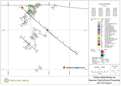 Figure 8:  Section showing drillhole RV21-29 (CNW Group/Trillium Gold Mines Inc.)