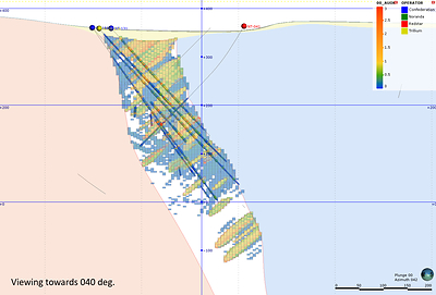 Figure 3: Section showing mineralization constrained by the Gradeshell Model. (CNW Group/Trillium Gold Mines Inc.)