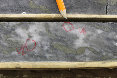 Figure 1: VG specks & clot in NT20-173 @ 239.6-.65m (CNW Group/Trillium Gold Mines Inc.)