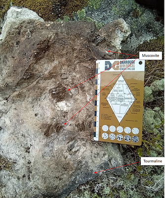 Figure 3: Mineralogy of Dyke (C00282855) (CNW Group/Comet Lithium Corporation)