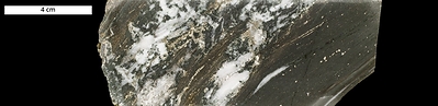 Figure 3: Detailed photograph of core from diamond drill hole GH0006 showing quartz-calcite gangue (white and cream) and metasediments (dark grey). Note that common pyrite presents as euhedral crystals, blebs and lamellae primarily within metasediment. From an interval (68.00-69.47 m down-hole) that assayed 7.31 g/t Au. (CNW Group/Mantaro Precious Metals Corp.)