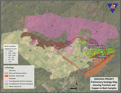 Figure 3. Preliminary geologic map of the Environmental Baseline Study (EBS) area (red line) showing historical sample results (Cu only), trench locations and generalized geology. (CNW Group/Vortex Metals)