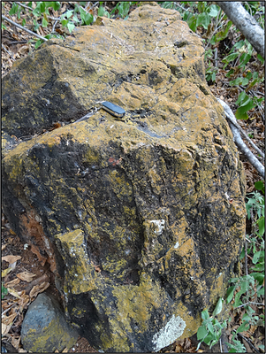 Figure 4. Photograph of a cylindrical block of ‘gossan’ interpreted to be a remnant conduit of hydrothermal fluids or ‘black smoker’; note pocket knife for scale. (CNW Group/Vortex Metals)