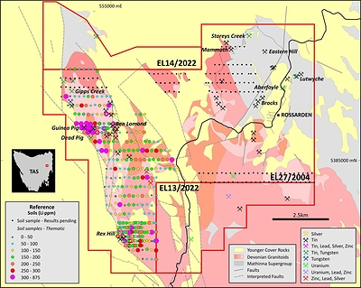 Figure 2:  Aberfoyle project lithium ppm soil sampling results, highlighting the coherent lithium anomaly defined in the Dead Pig-Guinea Pig and Rex Hill area.  Results from samples in the east are pending. (CNW Group/TinOne Resources Corp.)