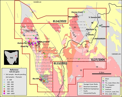 Figure 3. Aberfoyle project tin ppm soil sampling results, highlighting the coherent lithium anomaly defined in the Dead Pig-Guinea Pig and Rex Hill area.  Results from samples in the east are pending. (CNW Group/TinOne Resources Corp.)
