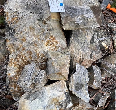 Figure 4 .Sample GM10070 showing fine quartz-tourmaline-cassiterite veins in quartz-sericite altered Mathinna Supergroup sandstones. GM10070 returned 0.52% tin and occurs within an area of undrilled historical workings over an area of approximately 600 x 150m. Coloured scale in cm. (CNW Group/TinOne Resources Corp.)