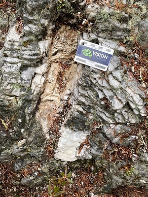 Figure 3 – Large lithium crystals at surface of Cadillac lithium property (for scale card in the photos is 8 cm wide) (CNW Group/Vision Lithium Inc.)