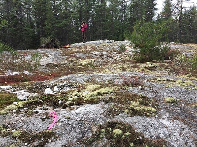 Figure 2 – Cadillac lithium property spodumene bearing dike (CNW Group/Vision Lithium Inc.)
