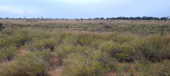 Cannot view this image? Visit: https://images.newsfilecorp.com/files/2005/158093_554d82377485f9bc_004.jpg
