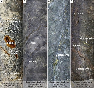 Figure 2. Mineralization and hydrothermal alteration observed in MD-051. A). Strong sericite-altered porphyry with chalcopyrite and chalcocite disseminated. B). Strong sericite-altered Intra-mineral porphyry with quartz-molybdenite (moly) veinlets. C). Strong sericite-altered Intra-mineral porphyry with quartz-chalcopyrite veinlets. D). Early-quartzdiorite porphyry with strong potassic alteration (K-spar) with quartz-molybdenite (moly) and chalcopyrite veinlets. (CNW Group/COPPER GIANT RESOURCES CORP.)