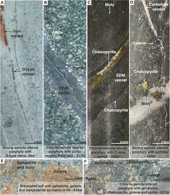 Figure 2. Mineralization and hydrothermal alteration observed in MD-048. A). Strong sericite altered dacite porphyry with multiple D-type veinlets and patchy iron oxides. B). Chlorite-sericite altered porphyry with pyrite veinlet reopened space of a PGM (Pale Green Mica) vein. C). Chlorite-sericite altered porphyry with a C-type (Chalcopyrite) vein. D). Strong sericite altered dacite porphyry with disseminated molybdenite (moly) and chalcopyrite. E). Brecciated tuff with sphalerite, molybdenite (moly) and galena as matrix in-fill. F). Chlorite-sericite altered porphyry with polymetallic mineralization. (CNW Group/COPPER GIANT RESOURCES CORP.)