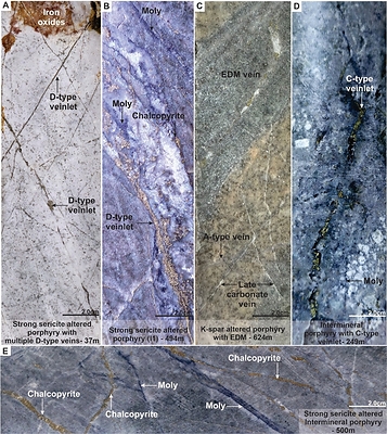 Figure 3. Mineralization and hydrothermal alteration observed in MD-047. A). Strong sericite altered dacite porphyry with multiple D-type veinlets and patchy iron oxides. B). D-type (pyrite) veinlet reopened space of a B-type veinlet. C). Potassic altered porphyry with EDM (Early Dark Micaceous) crossing early A-type veinlets. D). C-type (Chalcopyrite) veinlet in an intermineral porphyry unit. E). Chalcopyrite veinlets (C-type) crossing early B-type veins (Moly). Note: Molybdenite (Moly). (CNW Group/COPPER GIANT RESOURCES CORP.)