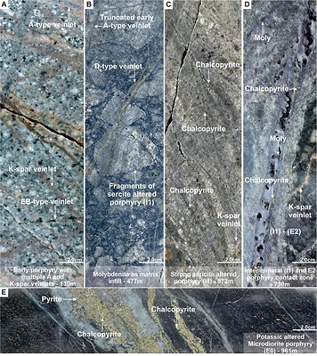 Figure 3. Mineralization and hydrothermal alteration observed in MD-046. A). Potassic altered early porphyry with multiple A (Quartz) and K-spar (Potassic feldspar) veining. B). Locally brecciated porphyry with molybdenite (Moly) as matrix-infill and late D-type veinlet (Pyrite dominant) crossing after the brecciation event. C). Strong sericite altered inter-mineral dacite porphyry (I1) with multiple C-type veinlets (Chalcopyrite dominant). D). Sericite altered Inter-mineral (I1) porphyry and newly discovered propylitic-altered quartz-diorite contact zone. E. potassic altered (secondary biotite) micro-diorite porphyry with disseminated chalcopyrite. (CNW Group/Copper Giant Resources Corp.)