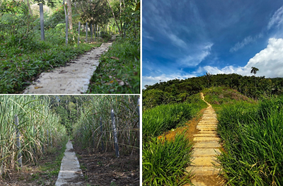 Figure 3 – Drill path improvements (CNW Group/Libero Copper & Gold Corporation)