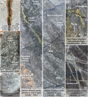 Figure 3.  Mineralization and alteration events observed in MD-044. Note: Molybdenite (moly), potassium feldspar (K-spar), quartz-sericite-pyrite (QSP) (CNW Group/Libero Copper & Gold Corporation)