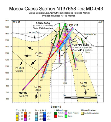 Figure 1:  Cross section for hole MD-043 (CNW Group/Libero Copper & Gold Corporation.)