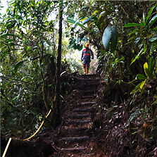 Photo 1 – example access pathway to Mocoa camp and drill pads (CNW Group/Libero Copper & Gold Corporation.)