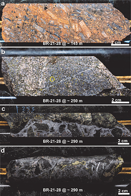 Figure 2: Textural examples of mineralization present in the first drill hole of the season BR-21-28: (a) megacrystic syenitic porphyry with fine disseminated pyrite ± chalcopyrite, (b) abundant disseminated chalcopyrite and pyrite hosted in an equigranular quartz monzodiorite,  and (c and d) blebby chalcopyrite and pyrite hosted in a carbonate-rich breccia vein with chlorite-rich selvages. (CNW Group/Libero Copper & Gold Corporation.)