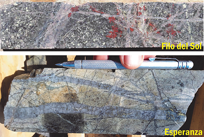 Figure 3: Dense quartz-vein stockwork zones coupled with brown biotite alteration. Alteration styles in porphyry deposits that are often associated with robust Cu-Au mineralization. (CNW Group/Libero Copper & Gold Corporation.)
