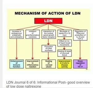 How Lodonal Treats HIV/AIDS