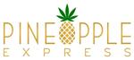 Primary Logo