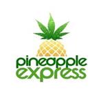Primary Logo