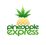 Primary Logo