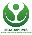 Primary Logo