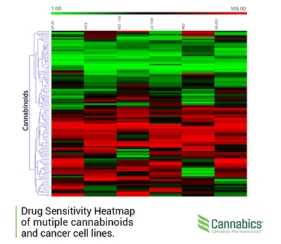 Drug Sensitivity Heatmap of Multiple Cannabinoids and Cancer Cells