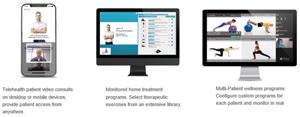 An Innovation in Telehealth for Physical Therapy