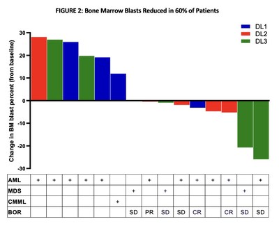 FIGURE 2: Bone Marrow Blasts Reduced in 60% of Patients