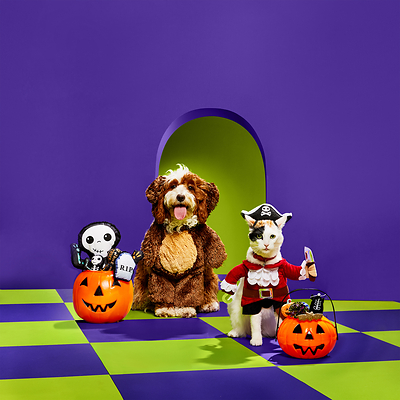 Petco Unveils Annual 