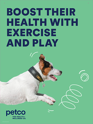 Petco encourages healthy summer habits for pets, shares essential tips to enhance their exercise routine and whole health.