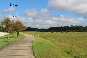 Flagler County Vacant Land for Sale